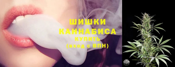 ГАЛЛЮЦИНОГЕННЫЕ ГРИБЫ Алексин