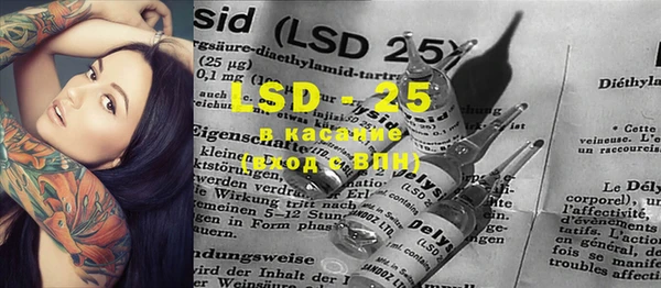 PSILOCYBIN Алзамай