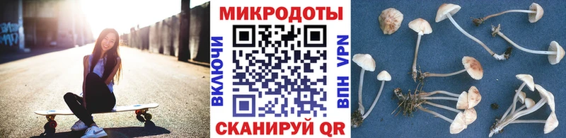 купить  цена  Елизово  Галлюциногенные грибы прущие грибы 