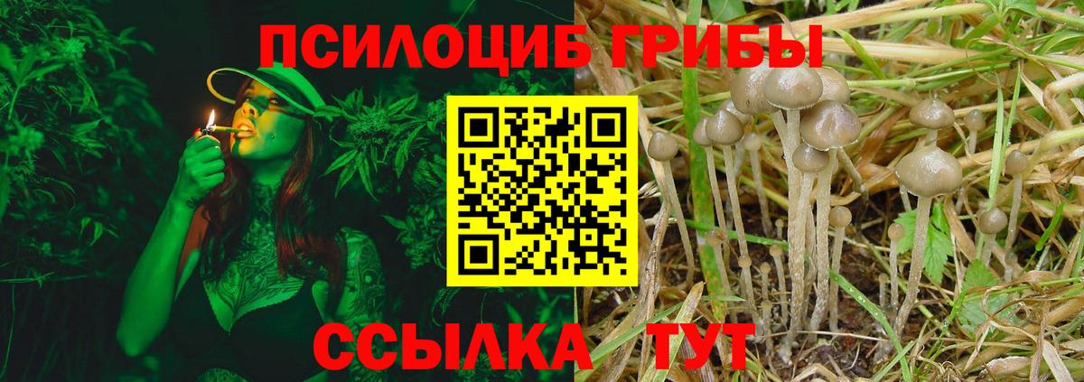 Псилоцибиновые грибы MAGIC MUSHROOMS Елизово