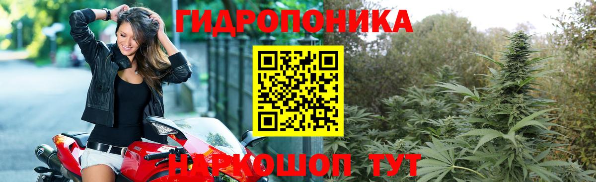Каннабис план Елизово